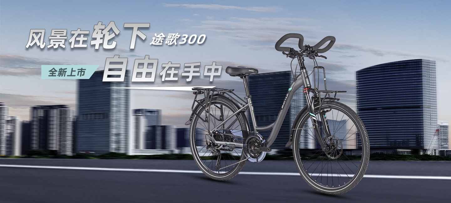 途歌300-主图