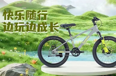 新款上市丨星辰DS 20″